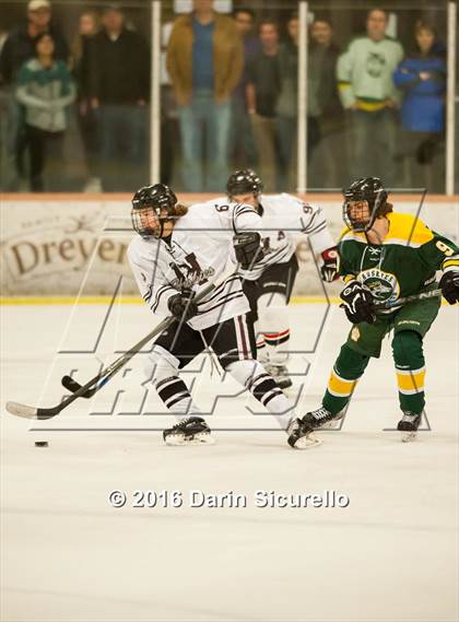 Thumbnail 2 in Horizon vs Hamilton (AHSHA Final) photogallery.