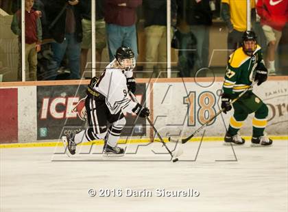 Thumbnail 2 in Horizon vs Hamilton (AHSHA Final) photogallery.