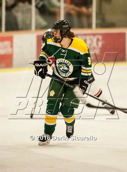 Thumbnail 3 in Horizon vs Hamilton (AHSHA Final) photogallery.