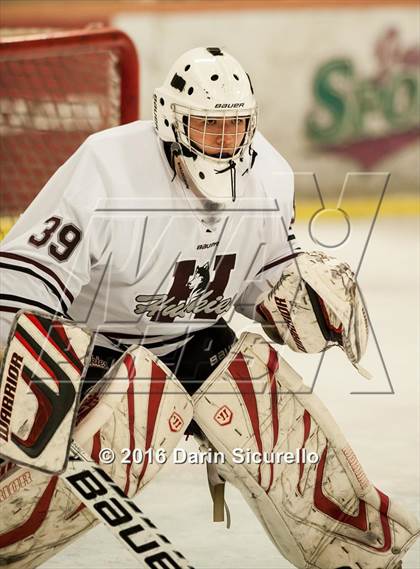 Thumbnail 2 in Horizon vs Hamilton (AHSHA Final) photogallery.