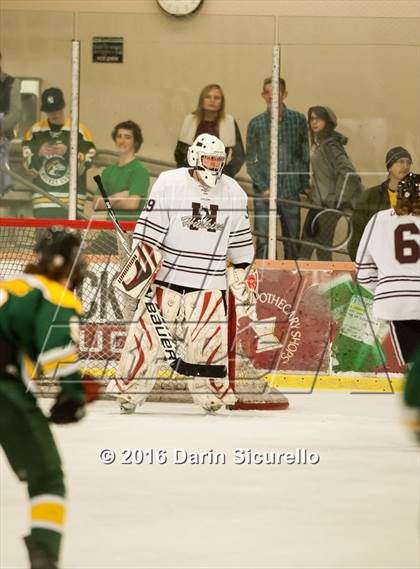 Thumbnail 2 in Horizon vs Hamilton (AHSHA Final) photogallery.