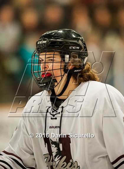Thumbnail 2 in Horizon vs Hamilton (AHSHA Final) photogallery.