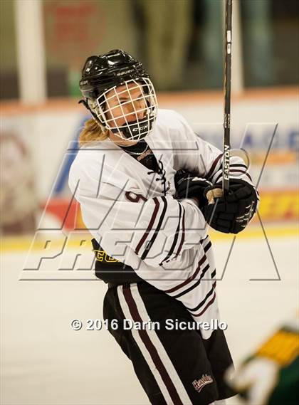 Thumbnail 3 in Horizon vs Hamilton (AHSHA Final) photogallery.