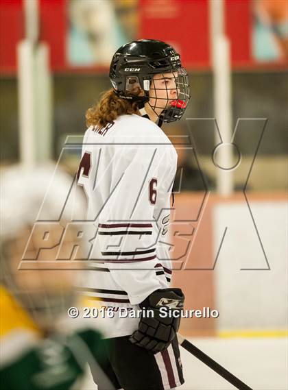 Thumbnail 1 in Horizon vs Hamilton (AHSHA Final) photogallery.