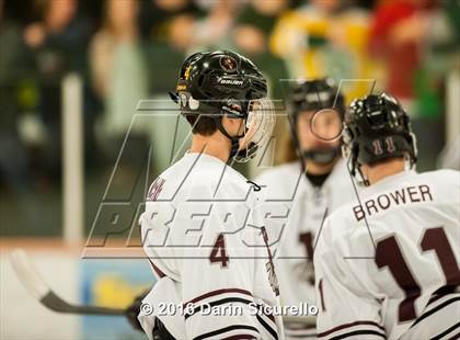 Thumbnail 1 in Horizon vs Hamilton (AHSHA Final) photogallery.