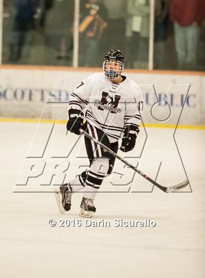 Thumbnail 2 in Horizon vs Hamilton (AHSHA Final) photogallery.