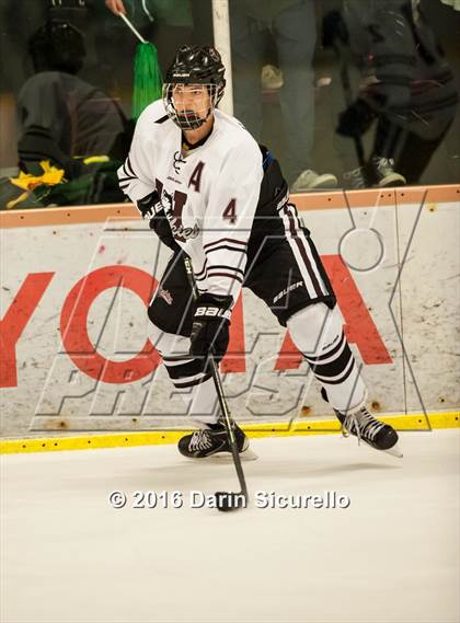 Thumbnail 1 in Horizon vs Hamilton (AHSHA Final) photogallery.