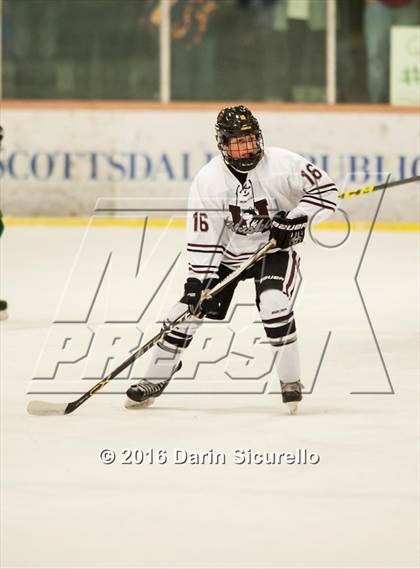 Thumbnail 2 in Horizon vs Hamilton (AHSHA Final) photogallery.