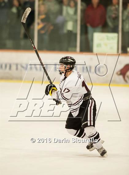 Thumbnail 3 in Horizon vs Hamilton (AHSHA Final) photogallery.