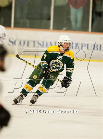 Thumbnail 1 in Horizon vs Hamilton (AHSHA Final) photogallery.