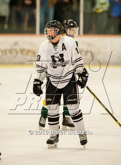 Thumbnail 2 in Horizon vs Hamilton (AHSHA Final) photogallery.
