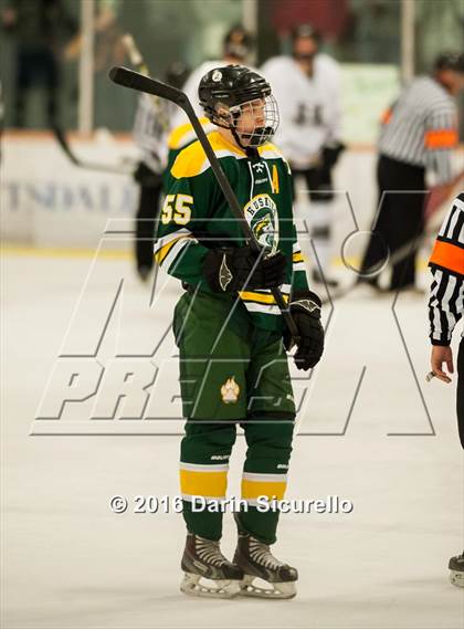 Thumbnail 3 in Horizon vs Hamilton (AHSHA Final) photogallery.