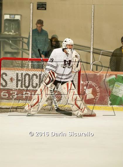 Thumbnail 2 in Horizon vs Hamilton (AHSHA Final) photogallery.