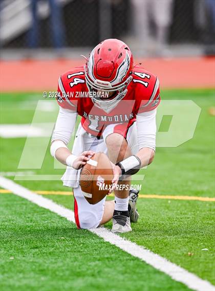 Thumbnail 1 in Danville vs Bermudian Springs (PIAA 3A Quarter Finals) photogallery.