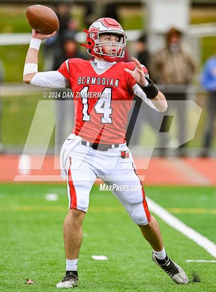 Thumbnail 1 in Danville vs Bermudian Springs (PIAA 3A Quarter Finals) photogallery.