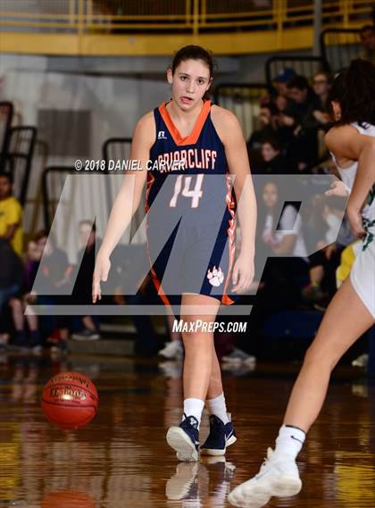 Thumbnail 3 in Irvington vs. Briarcliff (Section 1 Class B Final) photogallery.