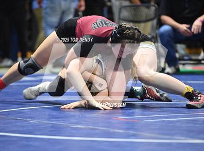 Thumbnail 2 in UIL Wrestling 5A-6A Finals (Round 1) photogallery.