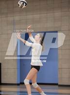 Photo from the gallery "Eastmark @ Mica Mountain"