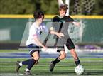 Photo from the gallery "Meridian @ Mountain View"