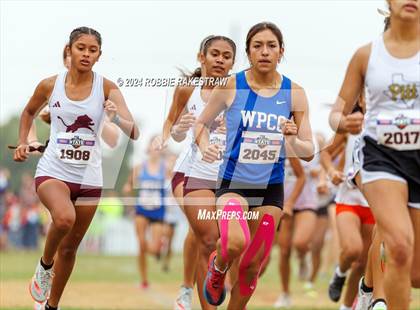 Thumbnail 2 in UIL Cross Country 4A Finals (3200m) photogallery.