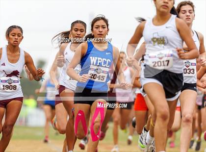 Thumbnail 1 in UIL Cross Country 4A Finals (3200m) photogallery.