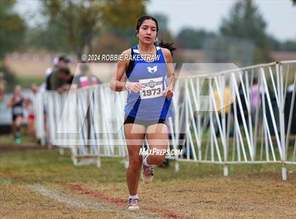 Thumbnail 2 in UIL Cross Country 4A Finals (3200m) photogallery.
