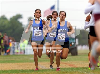 Thumbnail 3 in UIL Cross Country 4A Finals (3200m) photogallery.