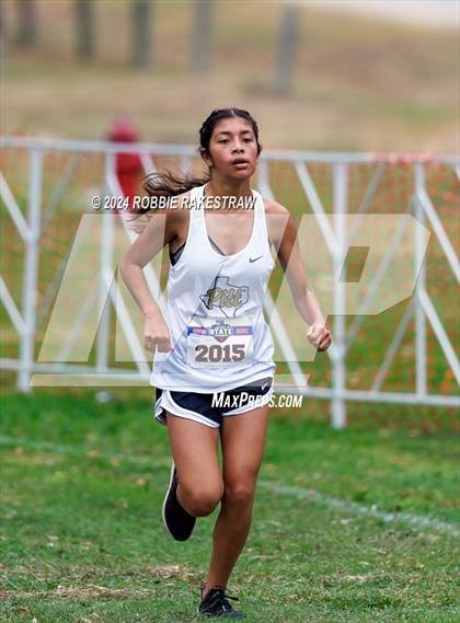 Thumbnail 1 in UIL Cross Country 4A Finals (3200m) photogallery.