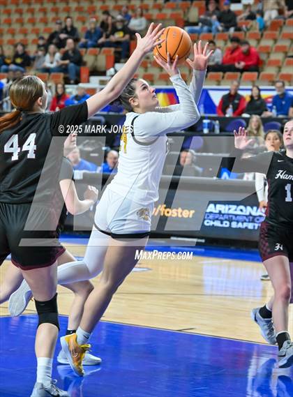 Thumbnail 3 in Gilbert vs. Hamilton (AIA 6A Final) photogallery.