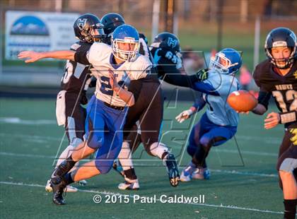 Thumbnail 1 in Sedro-Woolley vs. Hockinson (WIAA 2A Quarterfinal) photogallery.