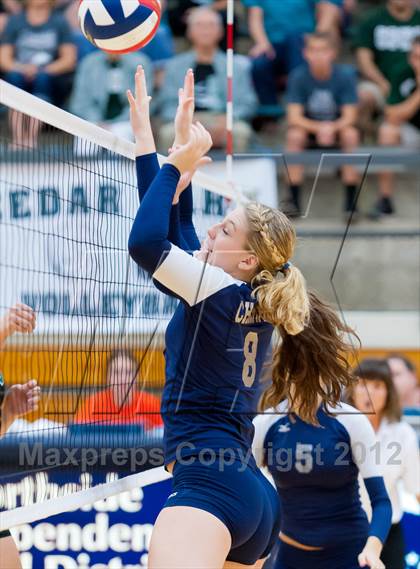 Thumbnail 1 in Boerne-Champion @ Cedar Park (UIL 4A Final Region 4) photogallery.
