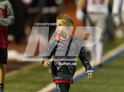 Thumbnail 2 in Marcus @ Hebron photogallery.