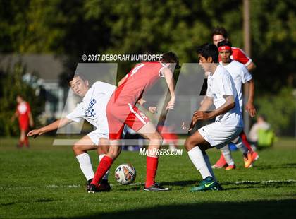 Thumbnail 3 in Ashland vs. Springfield photogallery.