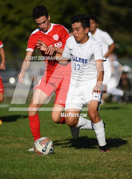 Thumbnail 1 in Ashland vs. Springfield photogallery.