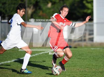 Thumbnail 3 in Ashland vs. Springfield photogallery.