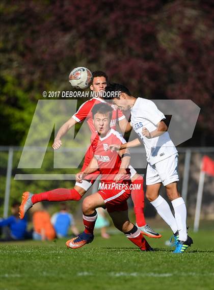 Thumbnail 1 in Ashland vs. Springfield photogallery.