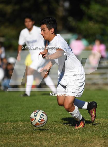 Thumbnail 2 in Ashland vs. Springfield photogallery.