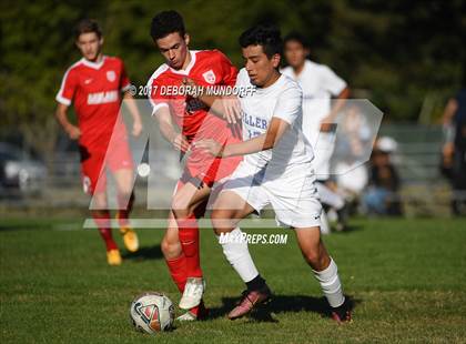 Thumbnail 2 in Ashland vs. Springfield photogallery.