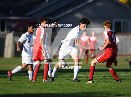 Thumbnail 1 in Ashland vs. Springfield photogallery.