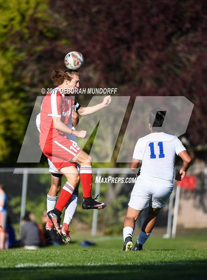 Thumbnail 2 in Ashland vs. Springfield photogallery.