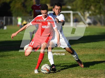 Thumbnail 2 in Ashland vs. Springfield photogallery.