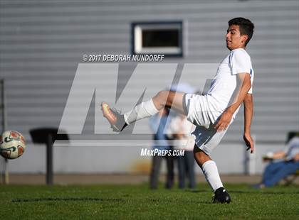 Thumbnail 1 in Ashland vs. Springfield photogallery.