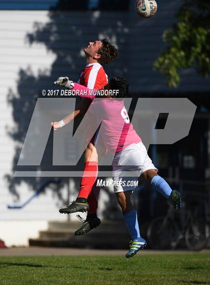 Thumbnail 2 in Ashland vs. Springfield photogallery.