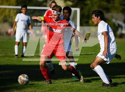 Thumbnail 1 in Ashland vs. Springfield photogallery.