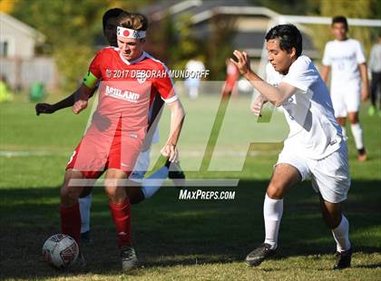 Thumbnail 2 in Ashland vs. Springfield photogallery.