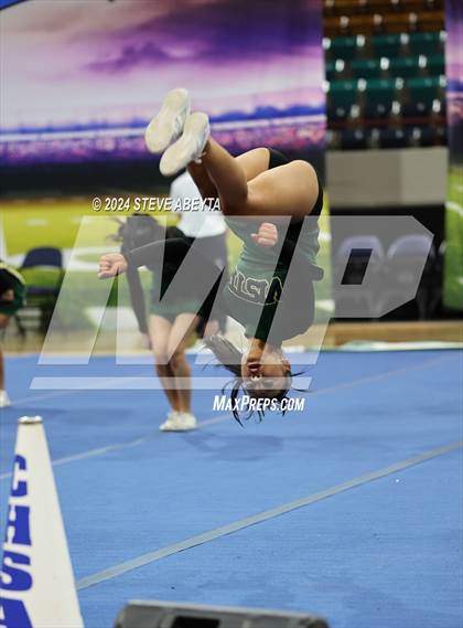 Thumbnail 2 in Mountain Vista (CHSAA 5A State Spirit Championships)  photogallery.