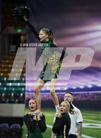 Thumbnail 1 in Mountain Vista (CHSAA 5A State Spirit Championships)  photogallery.