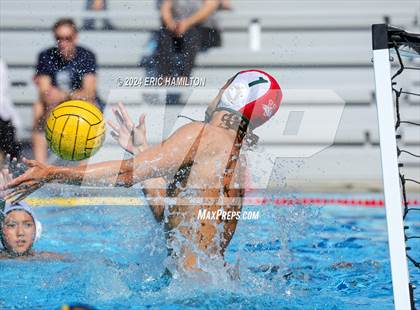 Thumbnail 3 in Irvine @ El Segundo photogallery.