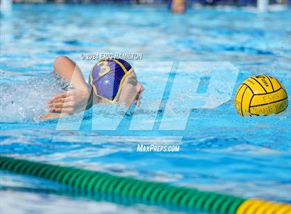 Thumbnail 3 in Irvine @ El Segundo photogallery.