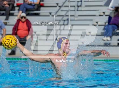 Thumbnail 2 in Irvine @ El Segundo photogallery.
